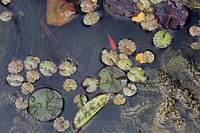 世嘉索尼克新作计划疑似泄露 2024存在感强烈
